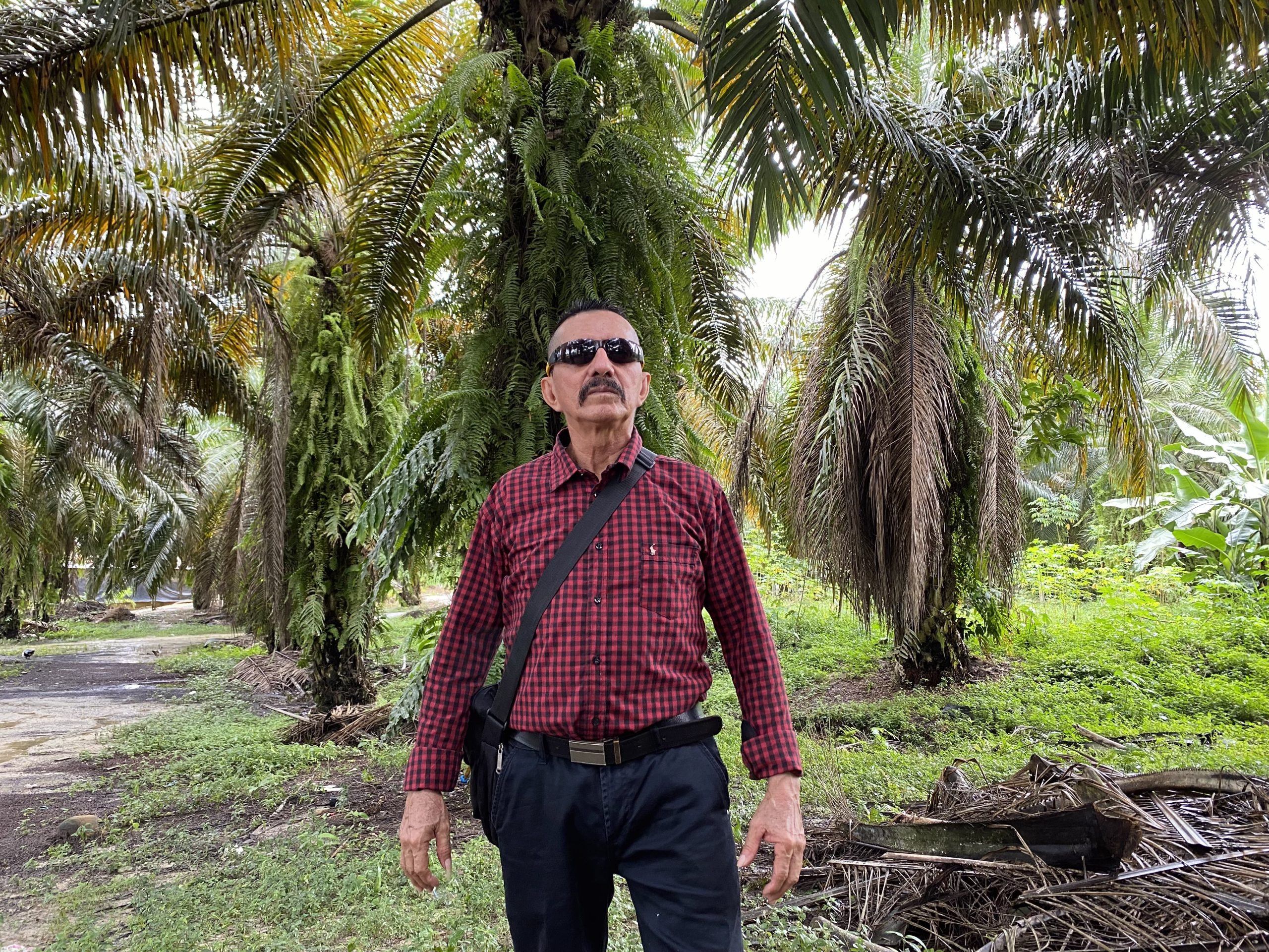 Por medio de sus canciones Jesús María Mendoza no solo exalta su amor por la palma sino que describe a las comunidades palmeras y su entorno. Foto: Palnorte S. A. S.