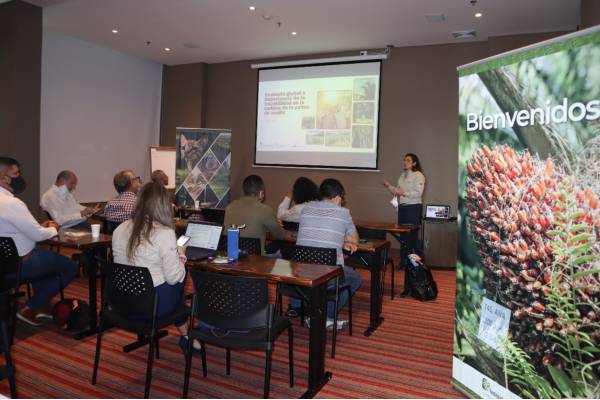 Fedepalma lanza modelo de trazabilidad para fortalecer la cadena de valor de la palmicultura colombiana