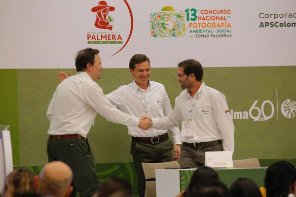Solidaridad, Fedepalma y Cenipalma estrechan la cooperación en sostenibilidad, tecnología y mercados