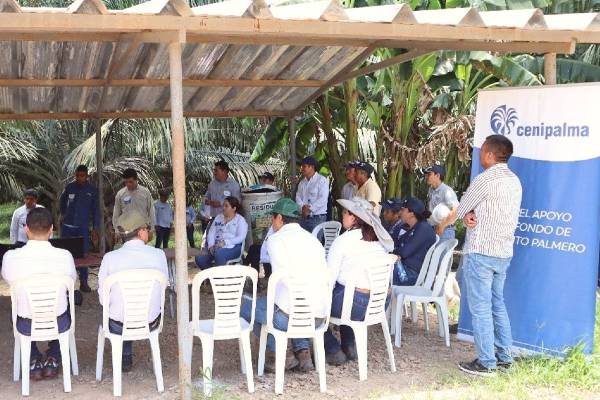 Encuentro de intercambio de experiencias de palmicultores de la Zona Oriental.