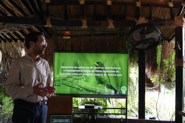 Colombia y Perú, promotores del aceite de palma sostenible e inclusivo