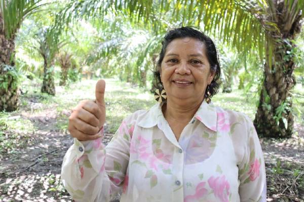 Productores de Cesar y Magdalena beneficiados por proyecto de sostenibilidad en palma de aceite