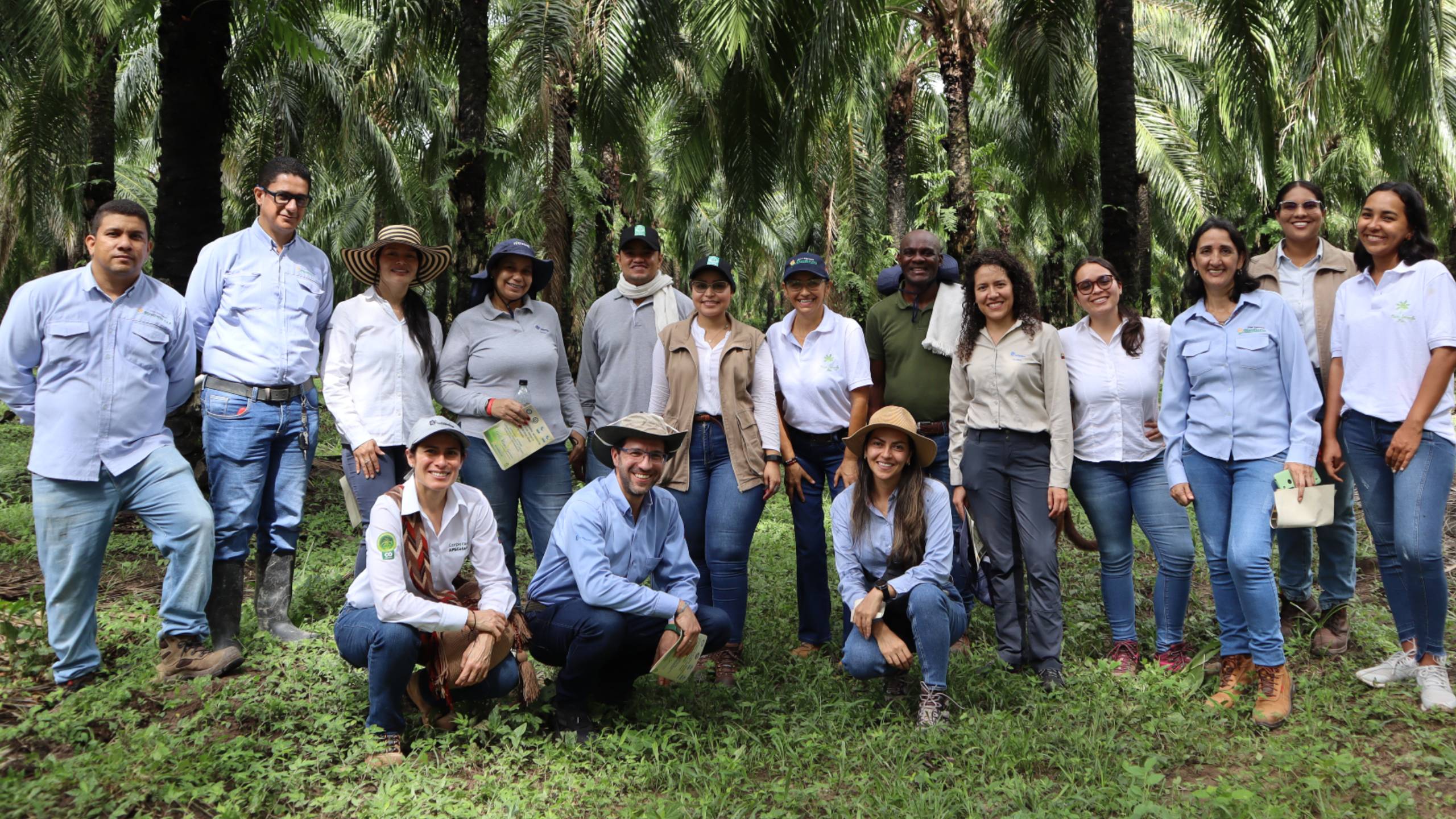 Productores de Cesar y Magdalena beneficiados por proyecto de sostenibilidad en palma de aceite