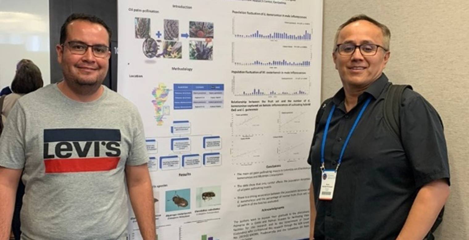 Anuar Morales, Líder de Entomología, y Carlos Barrios, Asistente de Investigación, fueron los encargados de socializar una parte del proyecto.