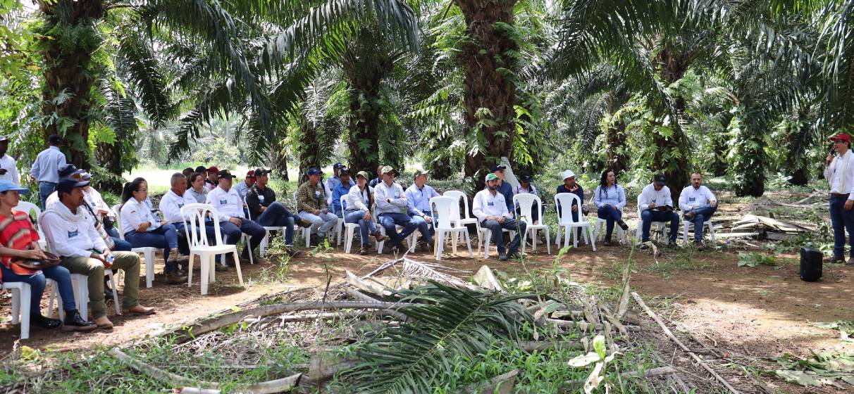 El cultivo de palma de aceite genera proyectos de vida y materializa sueños