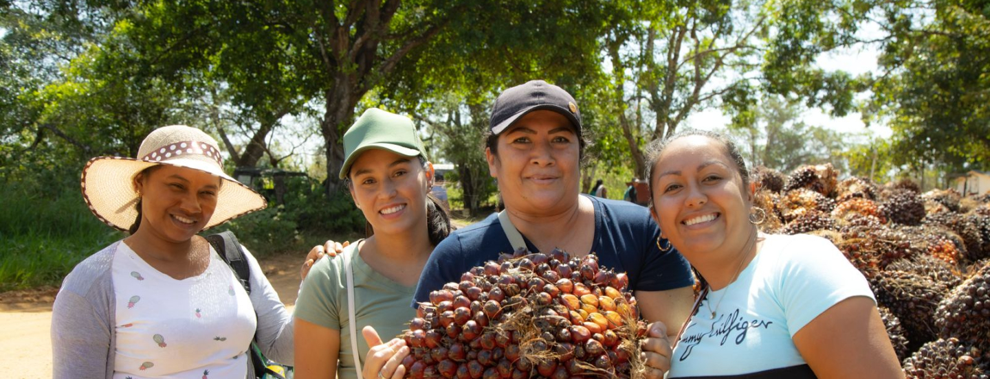 Gobierno Nacional adjudica finca con cultivo de palma, en plena producción, a 60 familias en los Llanos Orientales