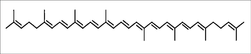 Estructura química del licopeno