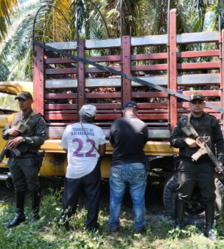 Dos personas capturadas por el robo de fruto de palma de aceite en Sabana de Torres, Santander