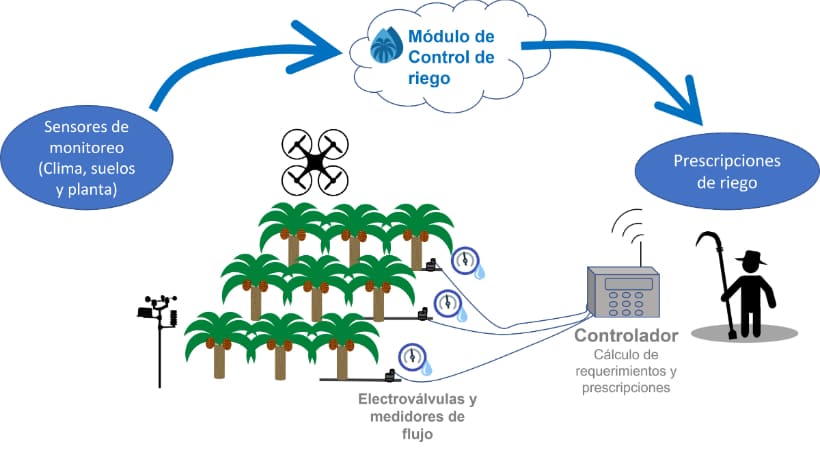 Automatización del sistema de riego en el cultivo de palma de aceite. 