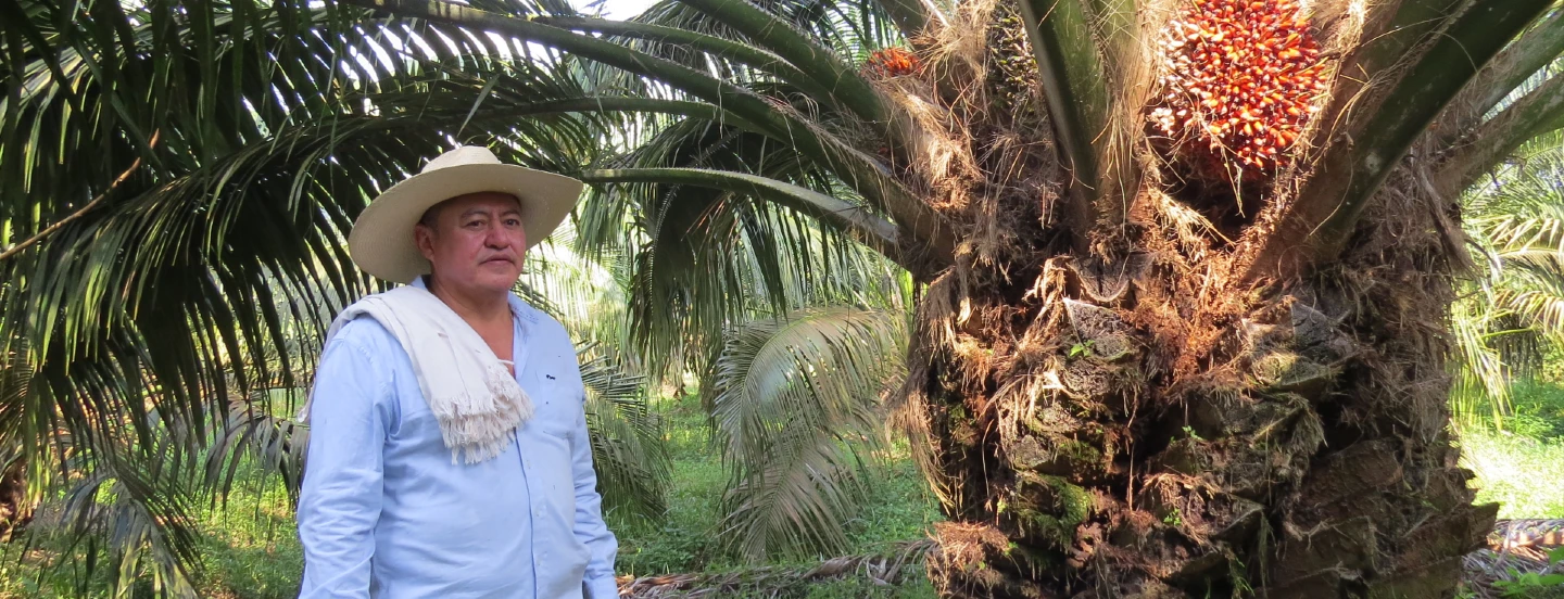 Adolfo Sepúlveda, uno de los mejores productores de palma de aceite de Colombia