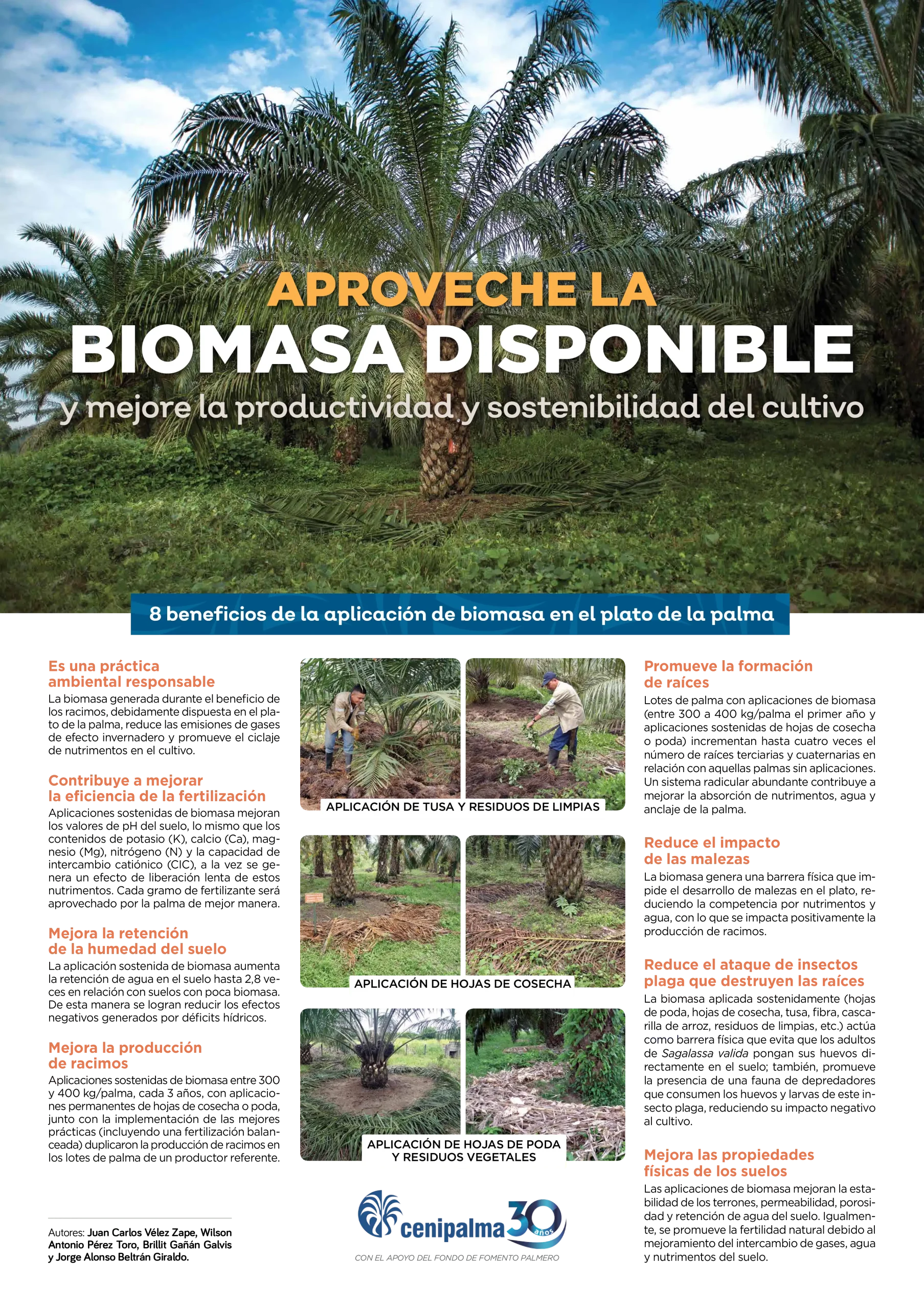 Para saber más sobre biomasa disponible consulta