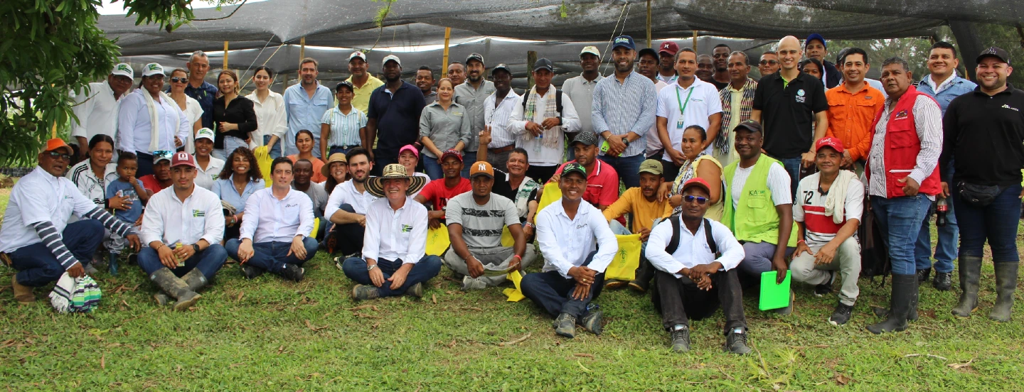 Entregan plántulas a pequeños productores de palma de aceite de Urabá para sembrar paz y cultivar progreso