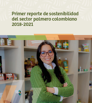 Primer reporte de sostenibilidad del sector palmero colombiano
