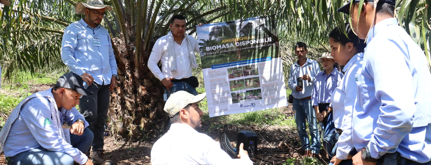 Con éxito avanza agenda de capacitación del proyecto palma de aceite y biocarbono en la Orinoquia