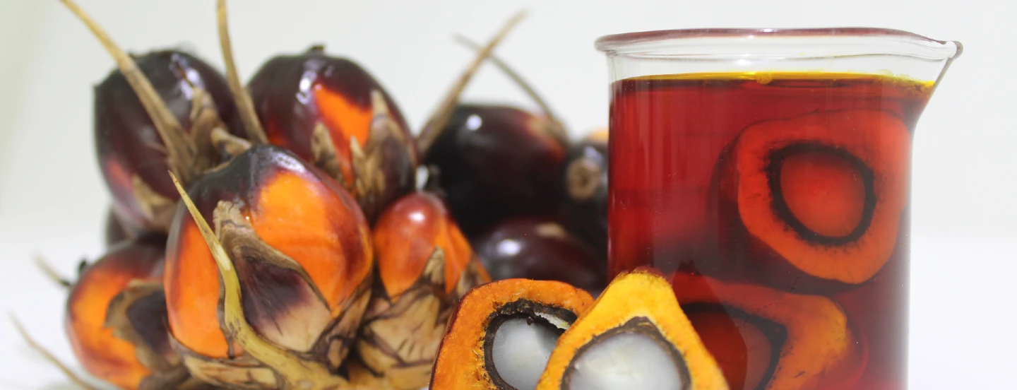 Pigmentos carotenoides en el aceite de palma crudo: un grupo de compuestos biológicamente activos responsables directos del color rojo intenso característico de este aceite vegetal
