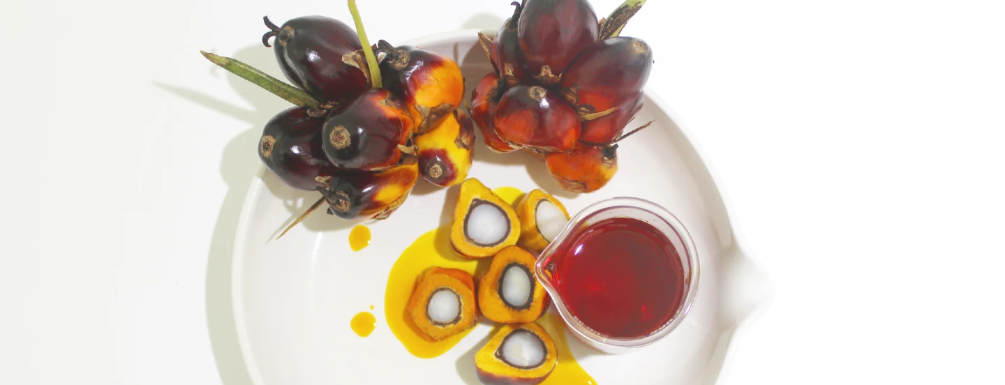 Fitoquímicos en el aceite de palma: una mirada general al grupo menor de compuestos con valor biológico en el aceite de palma crudo