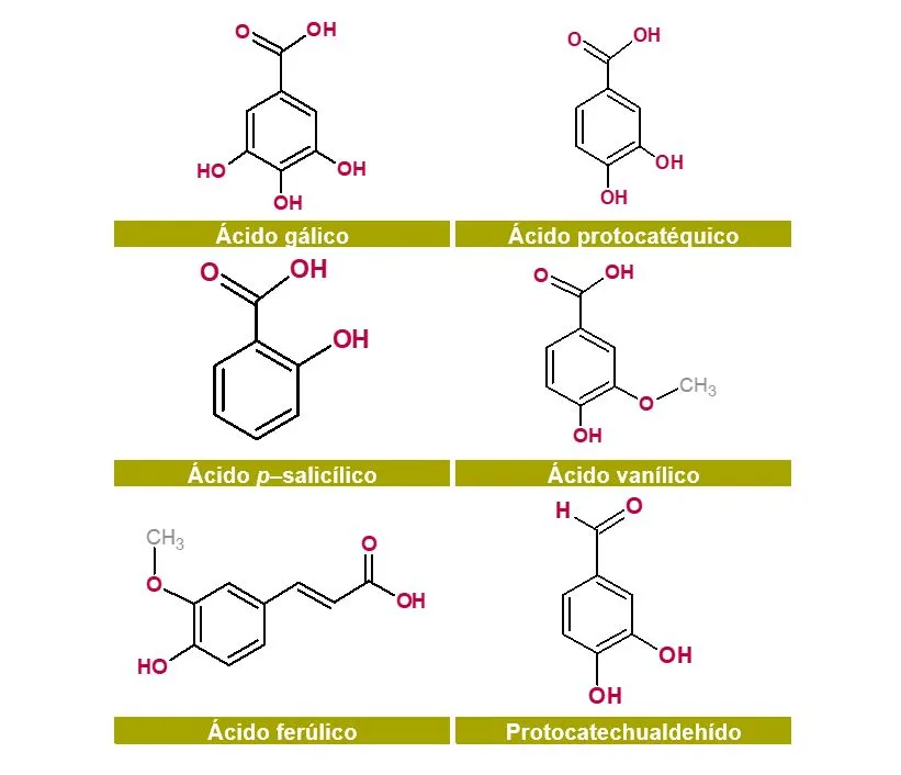 Algunos de los compuestos fenólicos de mayor relevancia en el aceite de palma