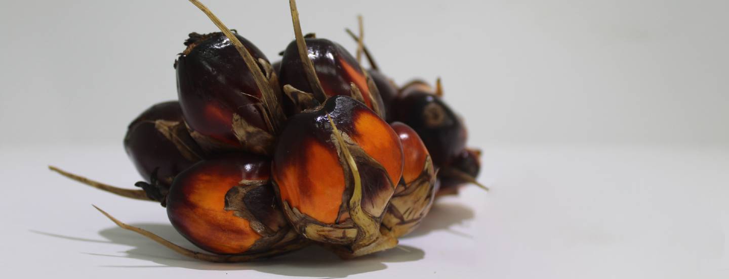 Fitoesteroles en el aceite de palma crudo