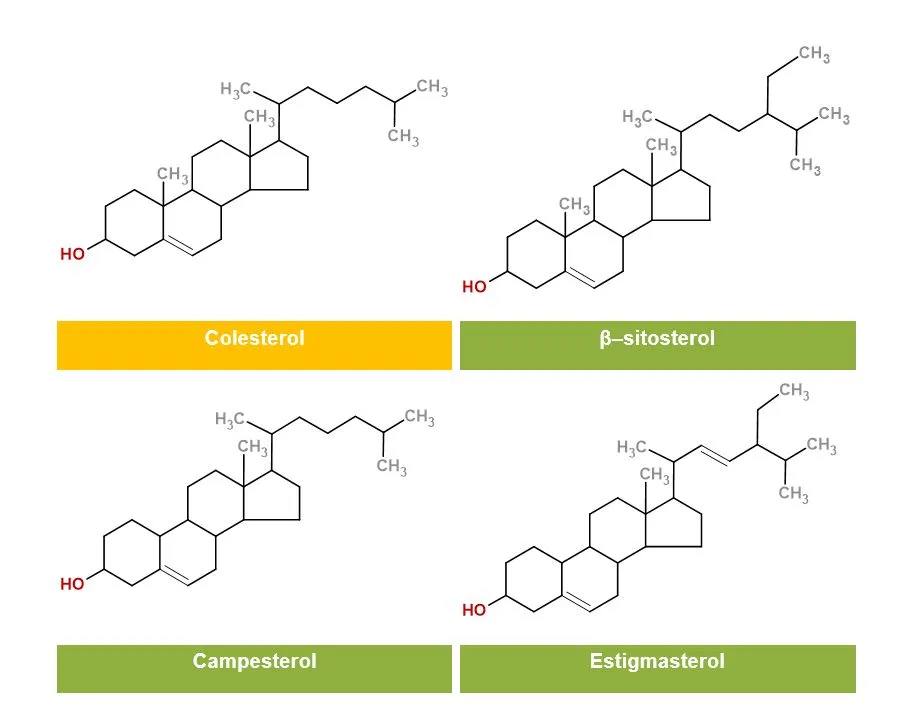 Estructura molecular de los fitoesteroles de mayor abundancia en el aceite de palma crudo 