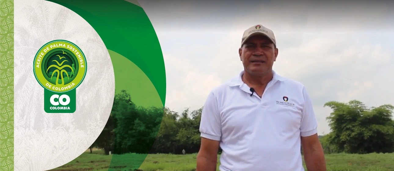 Él es Marcos Tulio Barrios, uno de los palmicultores del sur de Bolívar certificado APSColombia