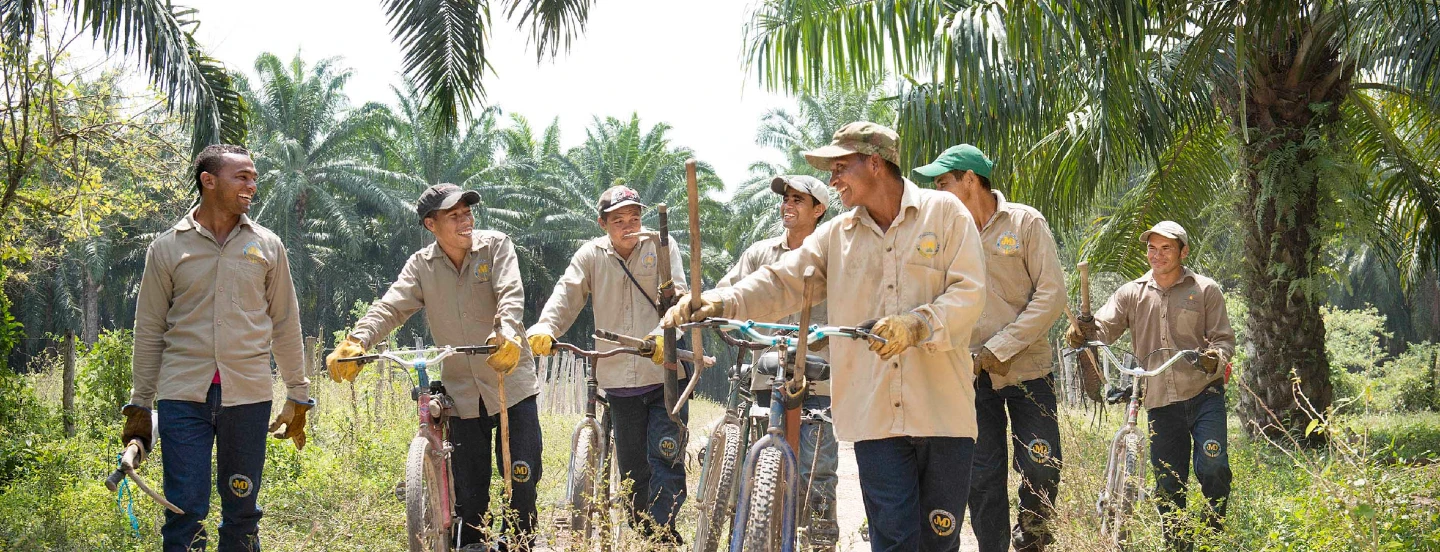 Palmicultura colombiana transforma la calidad de vida de las comunidades