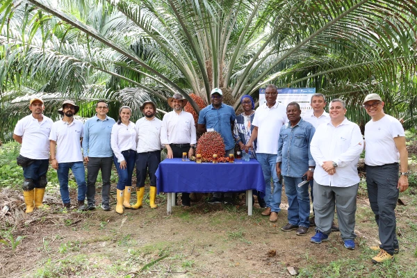 En la actualidad, Costa de Marfil cuenta con alrededor de 320 mil hectáreas de palma de aceite. 