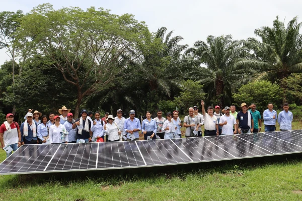 Palmicultores del Cesar están comprometidos con la transición energética