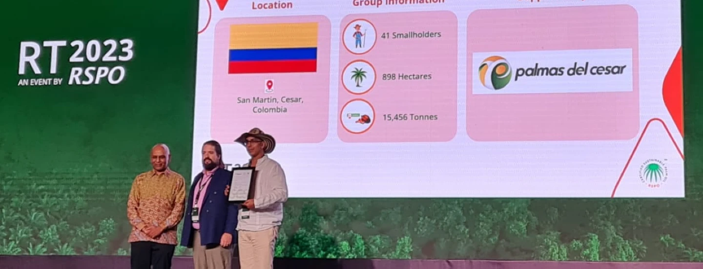 Palmicultores colombianos reciben reconocimiento a la certificación bajo el estándar de Pequeños Productores Independientes de RSPO