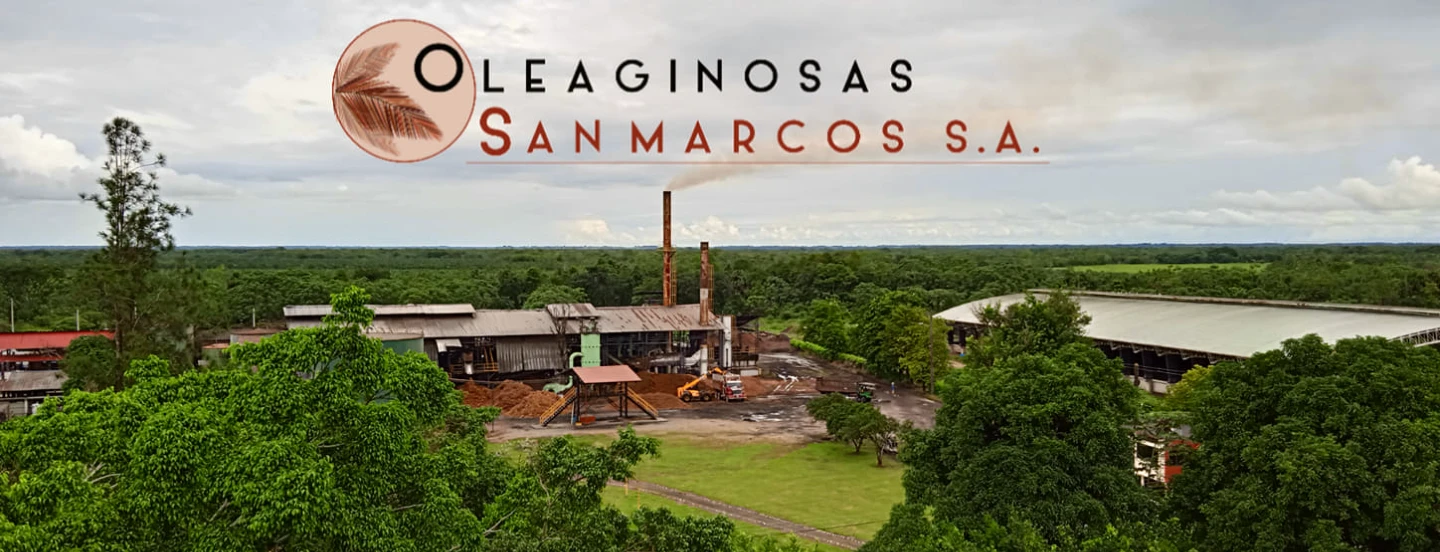Oleaginosas San Marcos celebra cuatro décadas de liderazgo en la industria palmera
