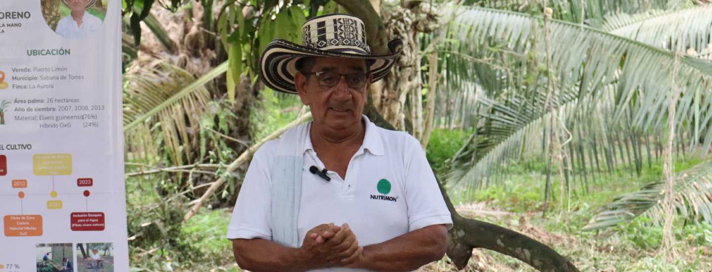 José del Carmen Peña: “La palmicultura es el negocio que genera más desarrollo"