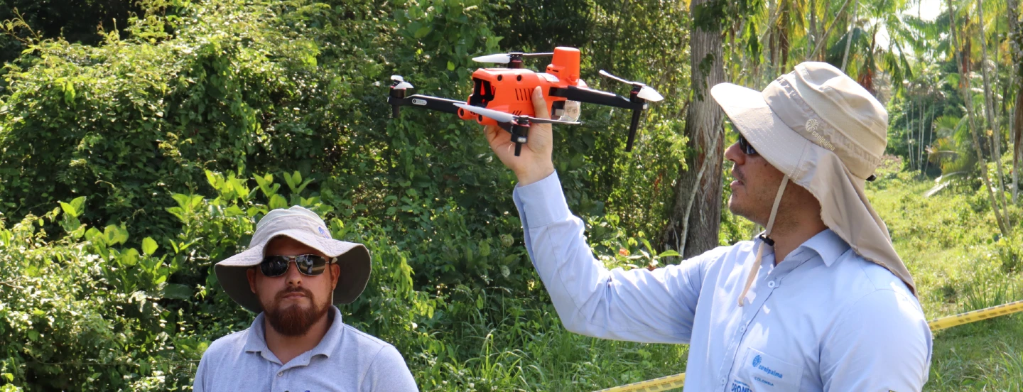 Con drones, el sector palmero busca generar una agricultura con más precisión