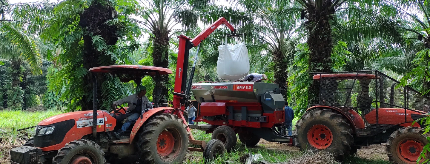 Consideraciones para la planeación y ejecución de la fertilización en el cultivo de palma de aceite